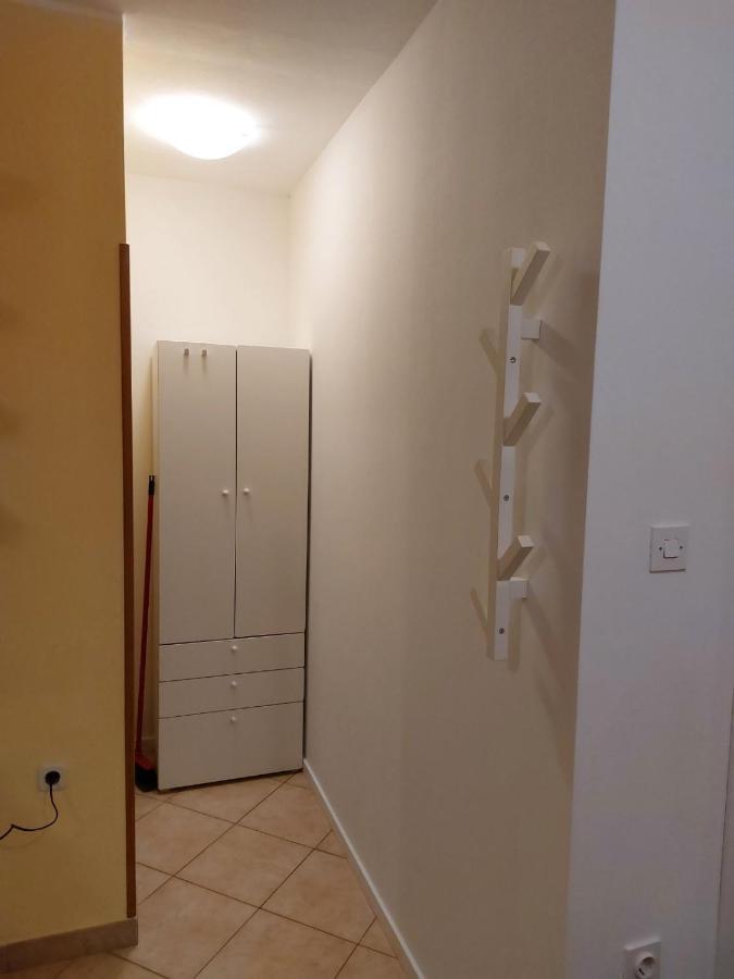Studio Apartman Viktoria ラバック エクステリア 写真