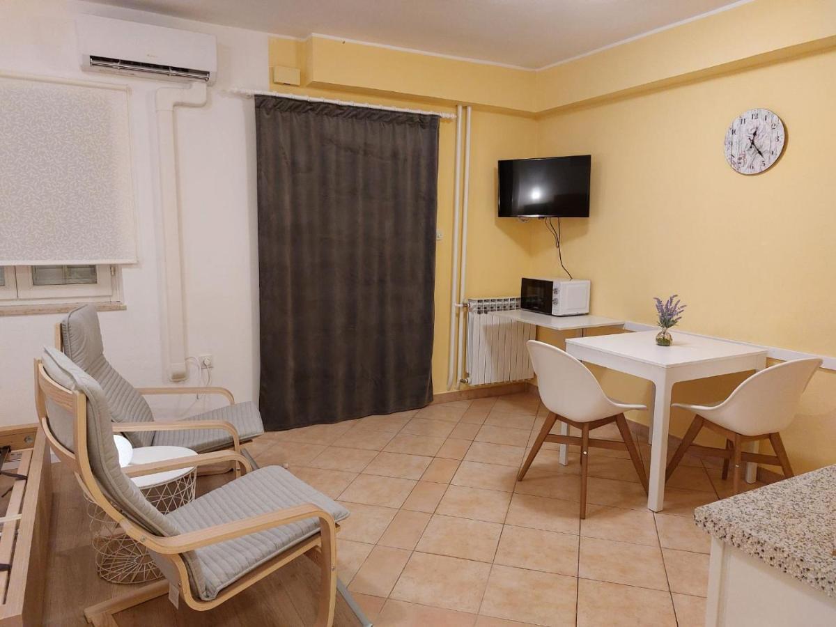 Studio Apartman Viktoria ラバック エクステリア 写真
