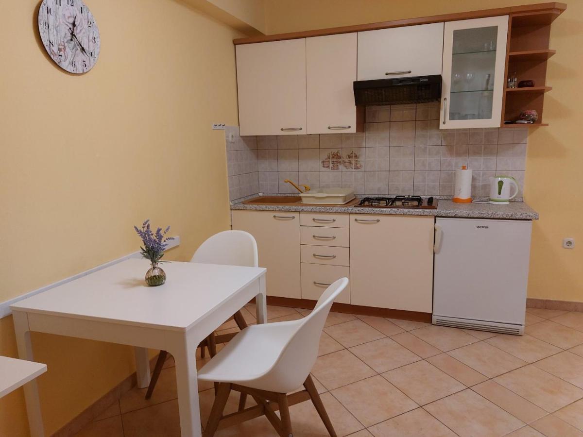 Studio Apartman Viktoria ラバック エクステリア 写真